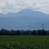 1505F 146 Blick auf Schwarzwald